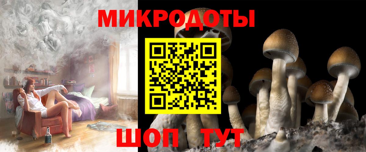 Галлюциногенные грибы прущие грибы Полысаево